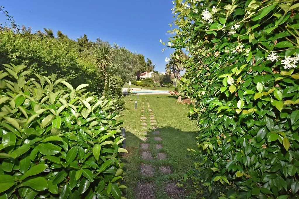 Luxurious Sunny Villa Near The Beach With A Pool Sani  Řecko